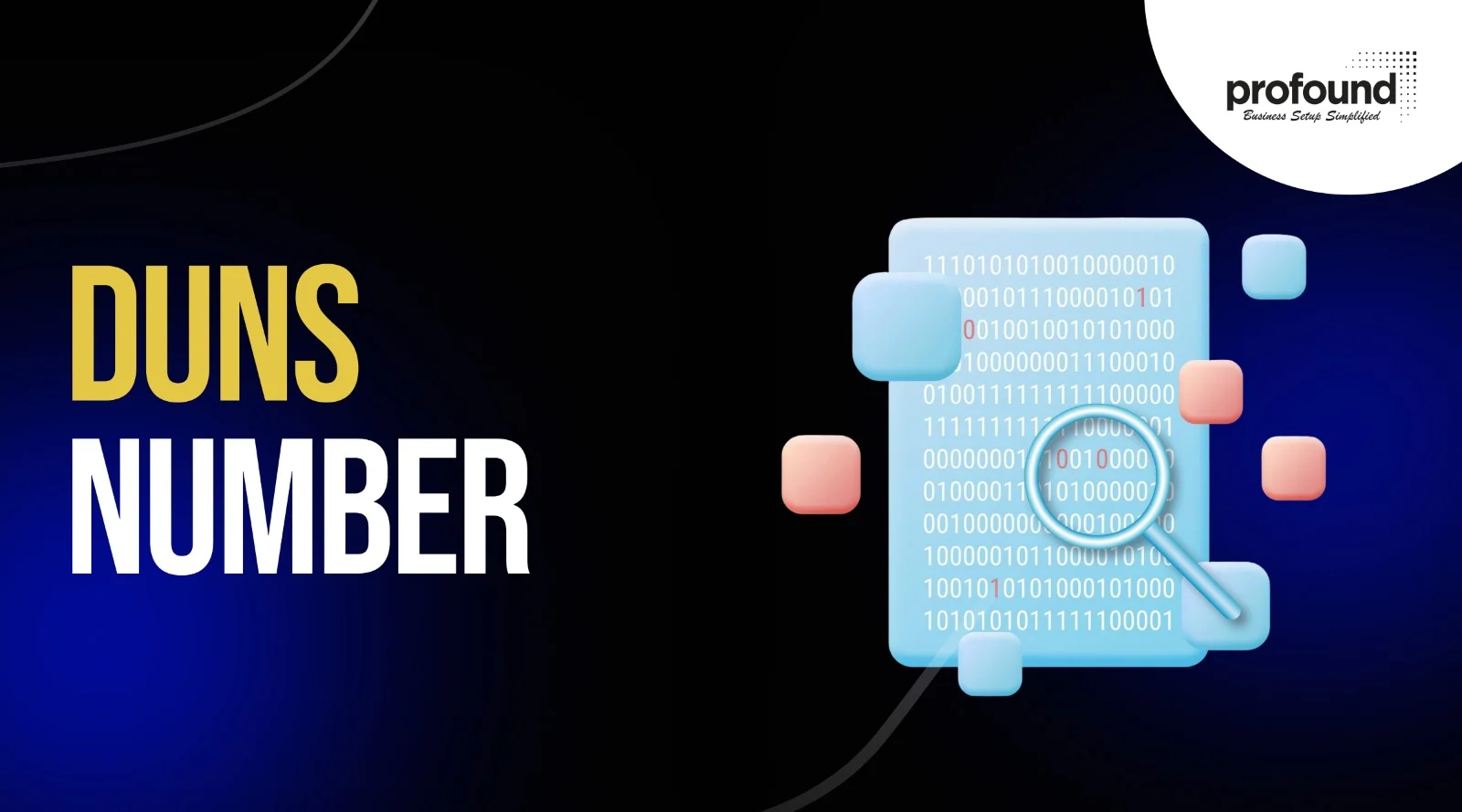 DUNS Number